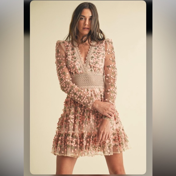 EB LUXE Dresses & Skirts - EB Luxe Amelia 3D Florals Mesh Lace Mini